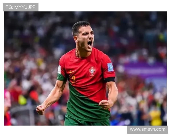 坎塞洛葡萄牙队长